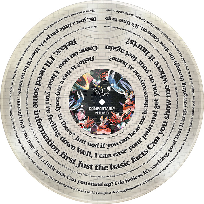 PINK FLOYD Comfortably Numb Lyrics